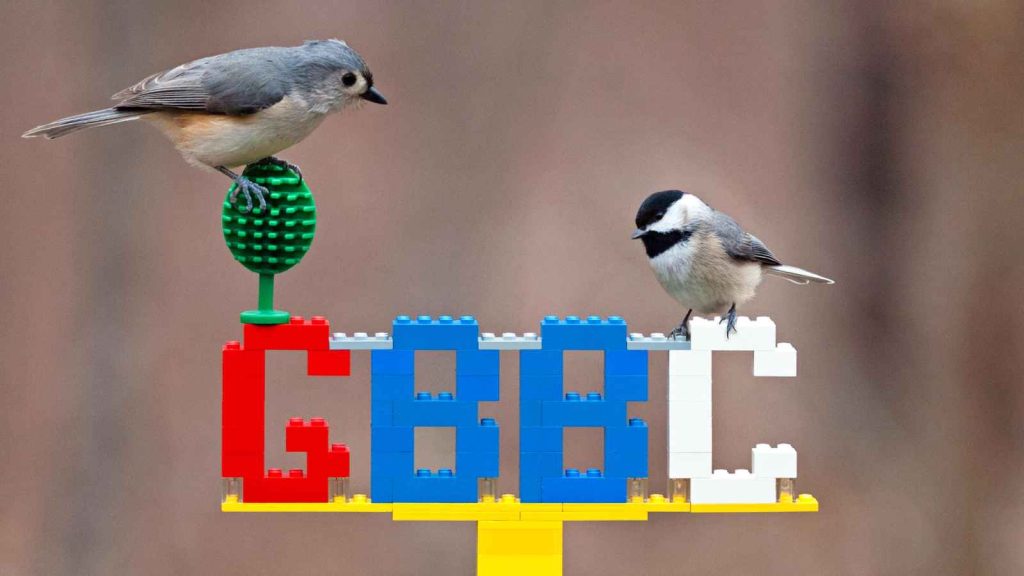 great-backyard-bird-count-2023-date-history-facts-about-birds