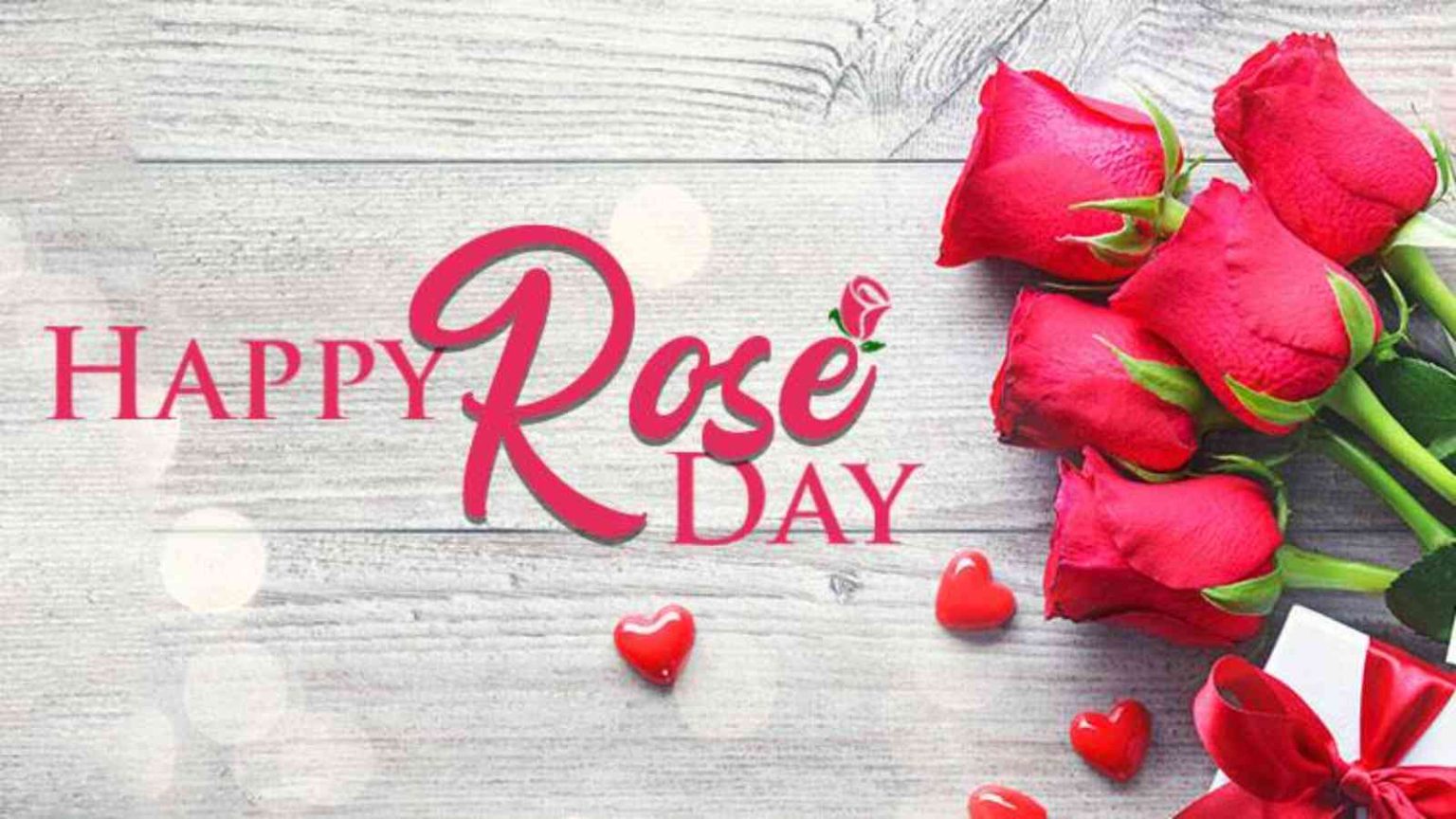 Rose Day 2024 Date, History, Activities and Facts