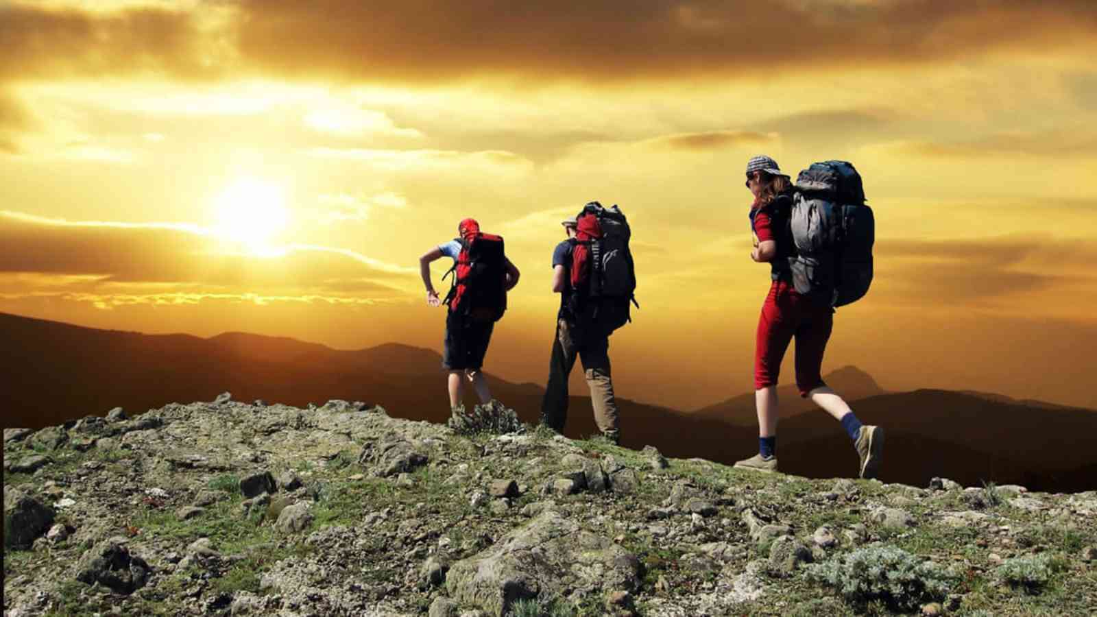 Walk on Your Wild Side Day 2023: Date, History, Facts, Activities