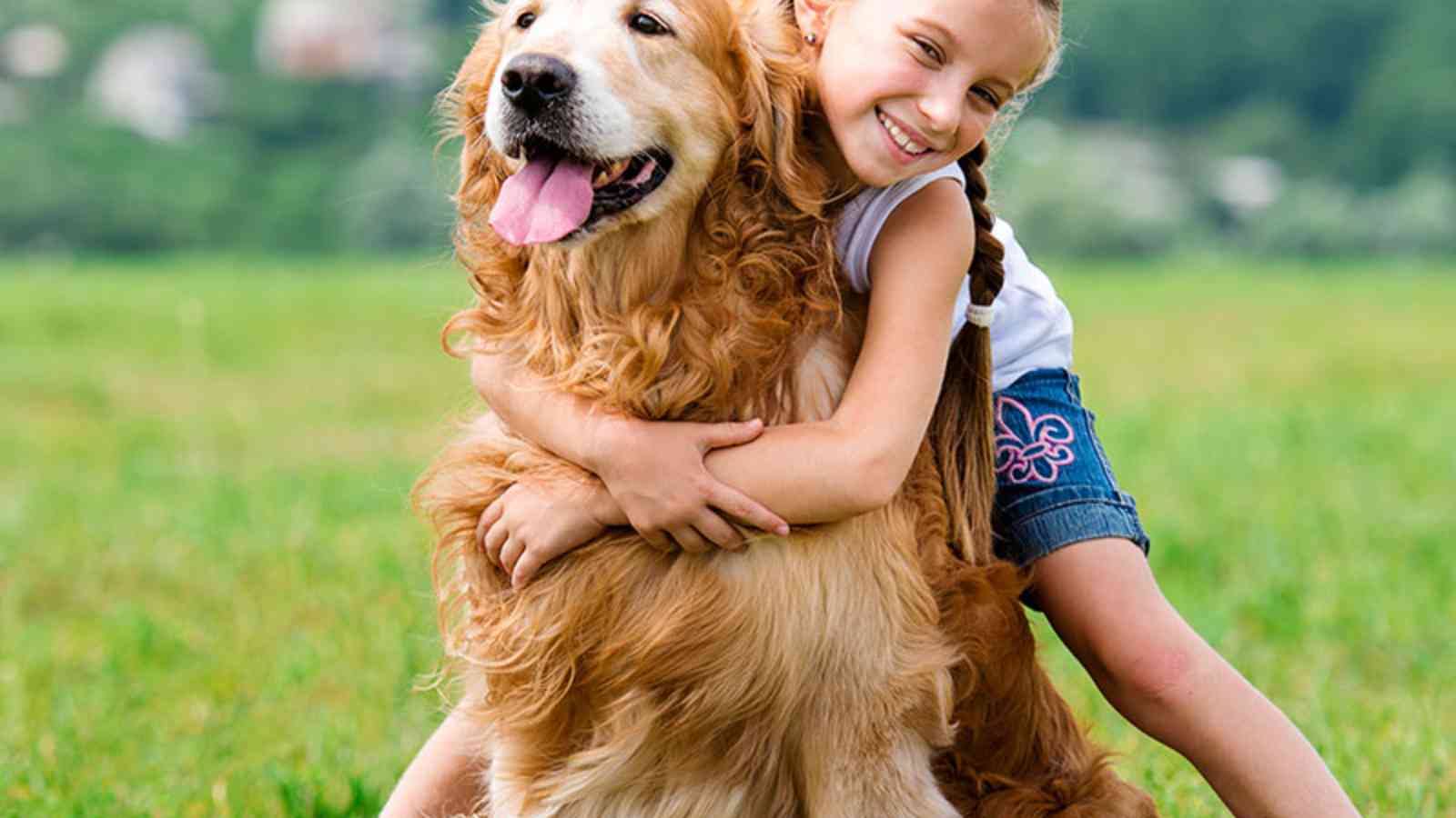 National Hug Your Dog Day 2023 Date, History, Activities