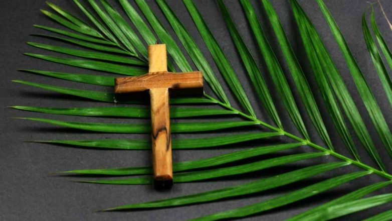 Palm Sunday Date History Facts About The Palm Eduvast Com