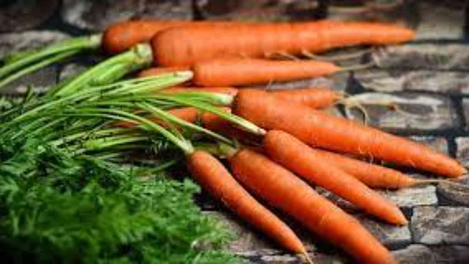 International Carrot Day 2023: Date, History, Facts about Farmers Market