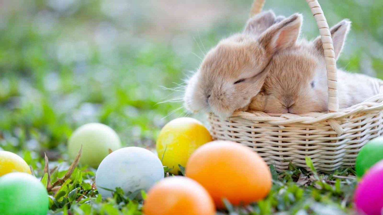 Easter 2023 Date, History, Facts about Easter Holiday