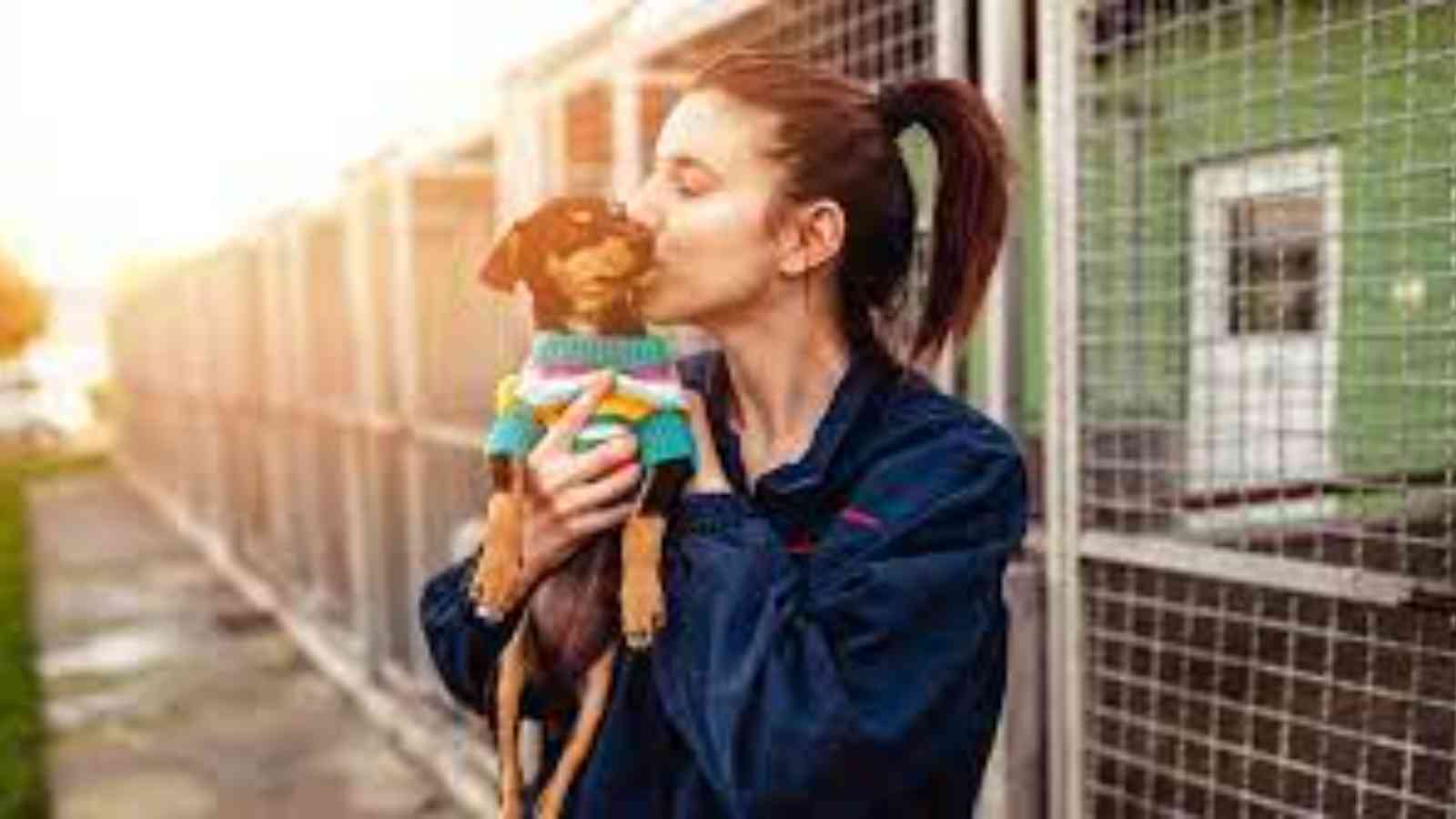 National Adopt A Shelter Pet Day 2023 Date, History, Facts, Activities
