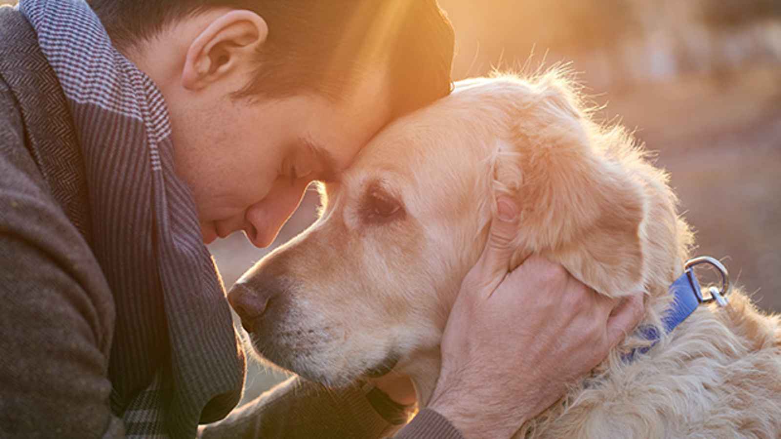 National Dog Dad Day 2023 Date, History, Facts, Activities