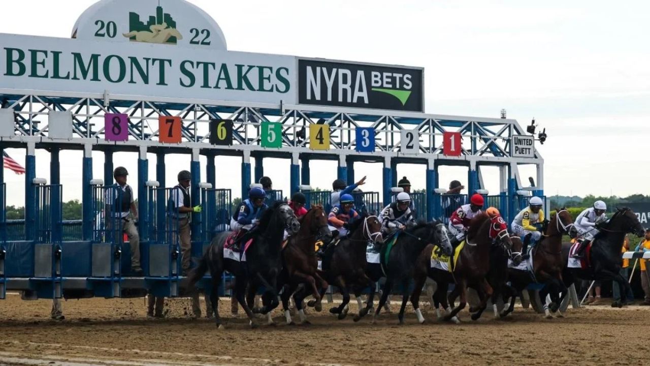 The Belmont Stakes 2023 Winner? What Is The Distance Of The Race