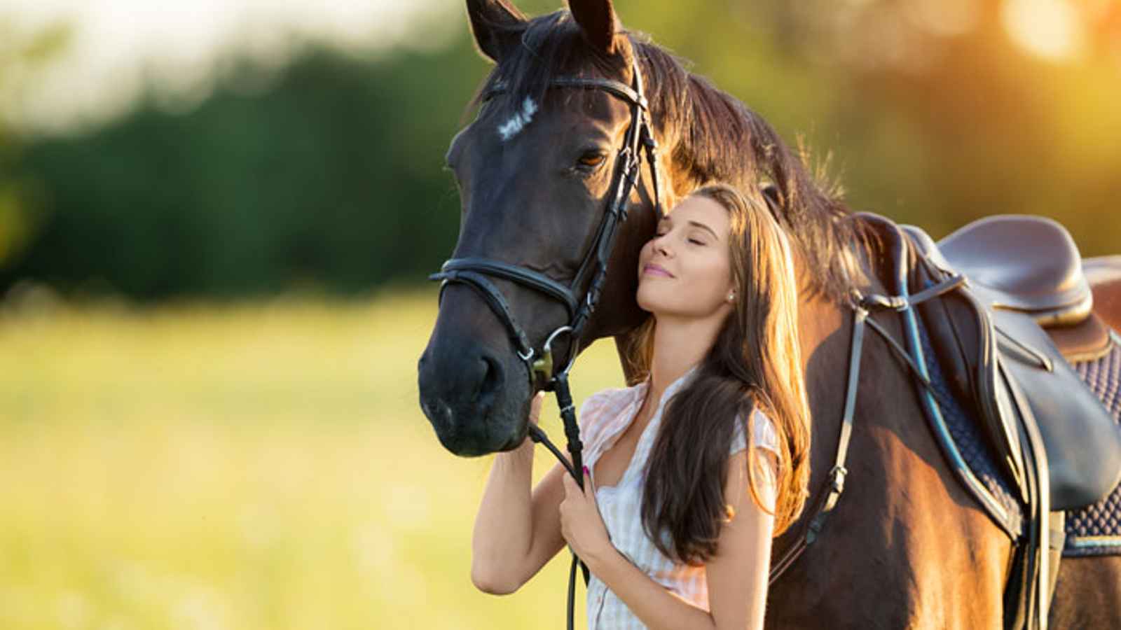 National I Love Horses Day 2023: Date, History, Facts about Domestication