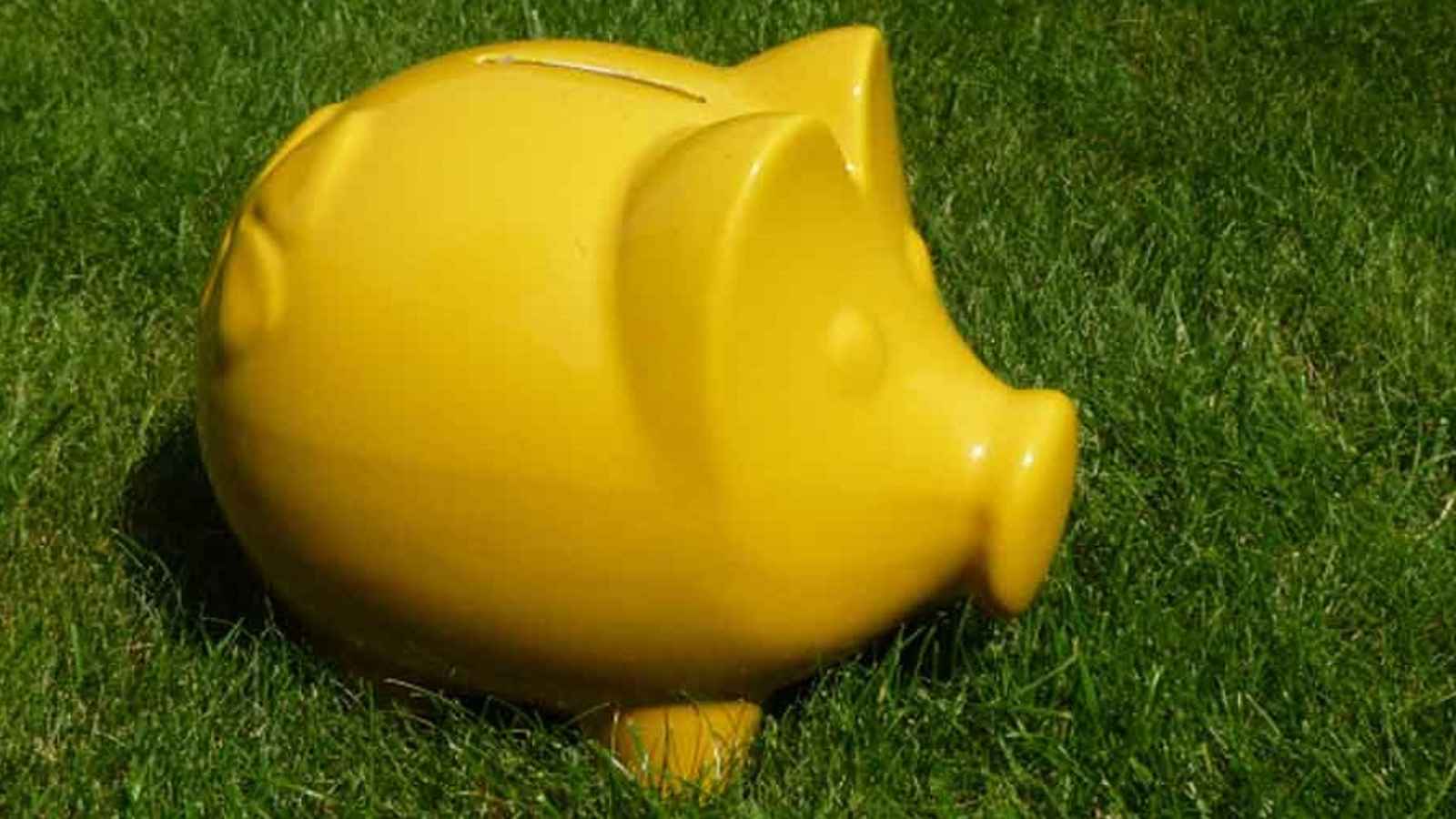 Yellow Pig Day in U.S. 2023: Date, History, Facts, Activities