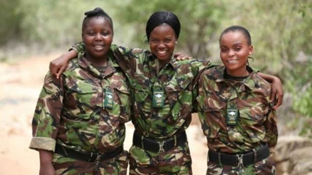 World Rangers World Ranger Day 2023: Date, History, Facts about The Encountered by ...