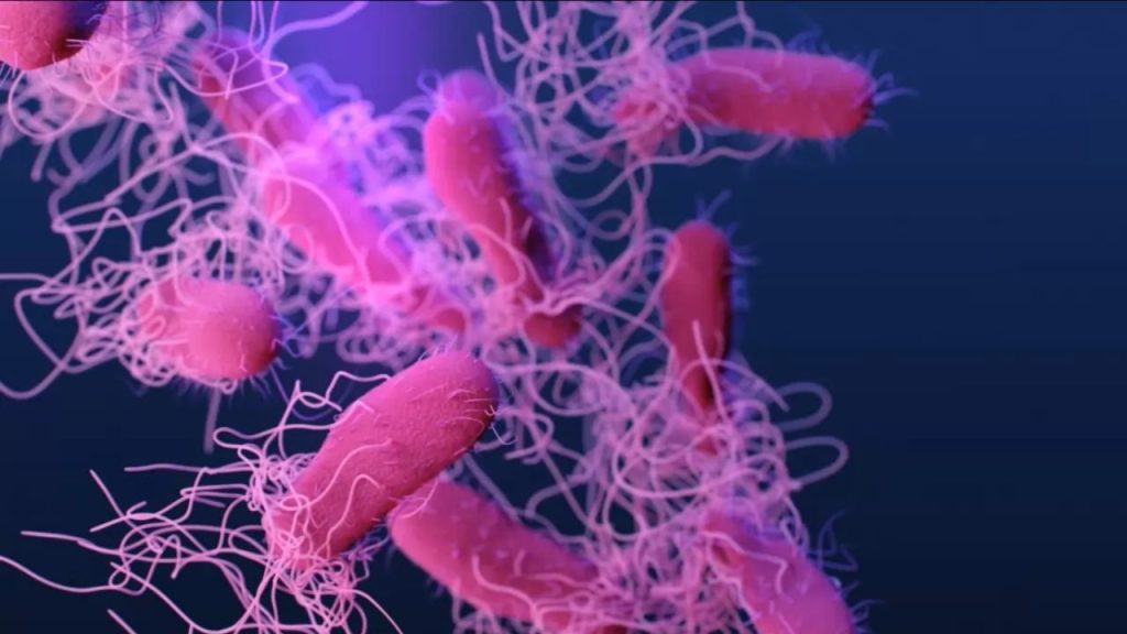 FleshEating Bacteria Claims Lives in Three Coastal States