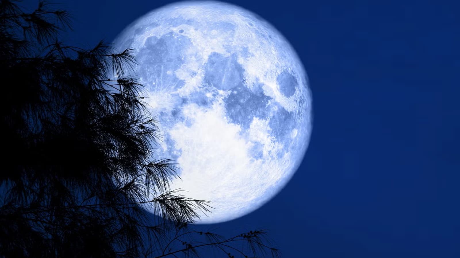 Rare Blue Moon 2023 Extremely Rare Blue Moon Light Up The Sky; See