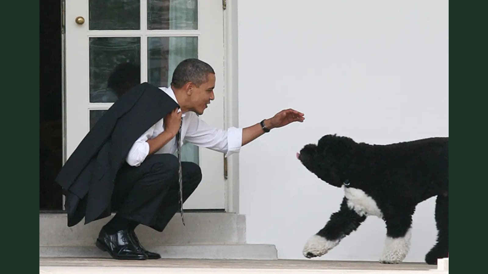 Companions in Presidential History