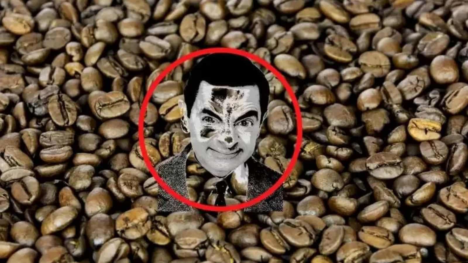 Locate the Famous Celebrity