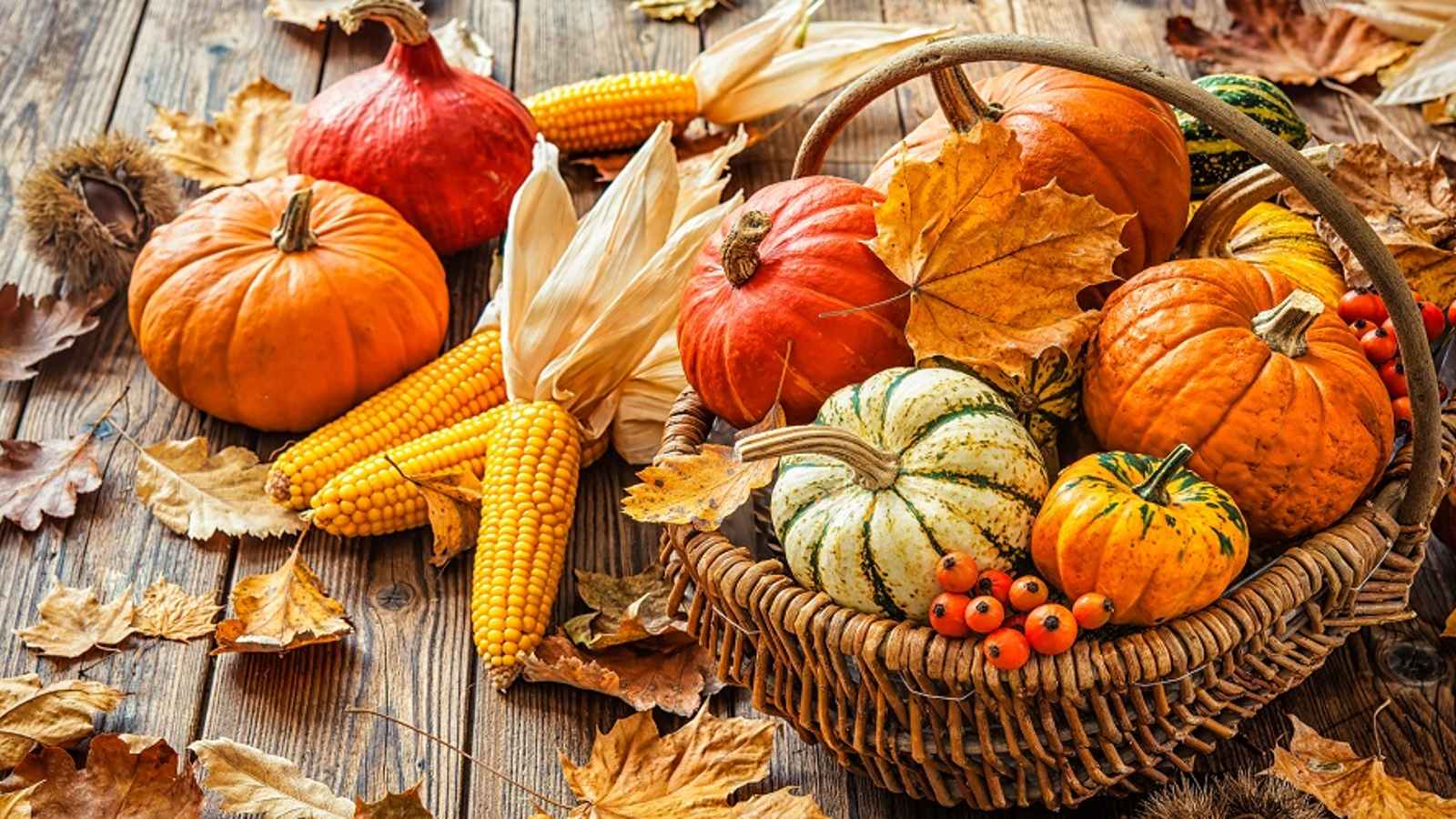 Mabon Day 2023: Date, History, Facts, Occupations - Eduvast.com