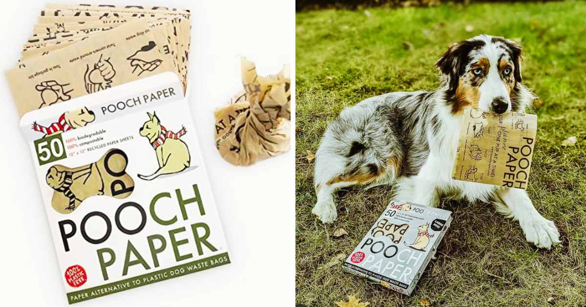 Pooch Paper