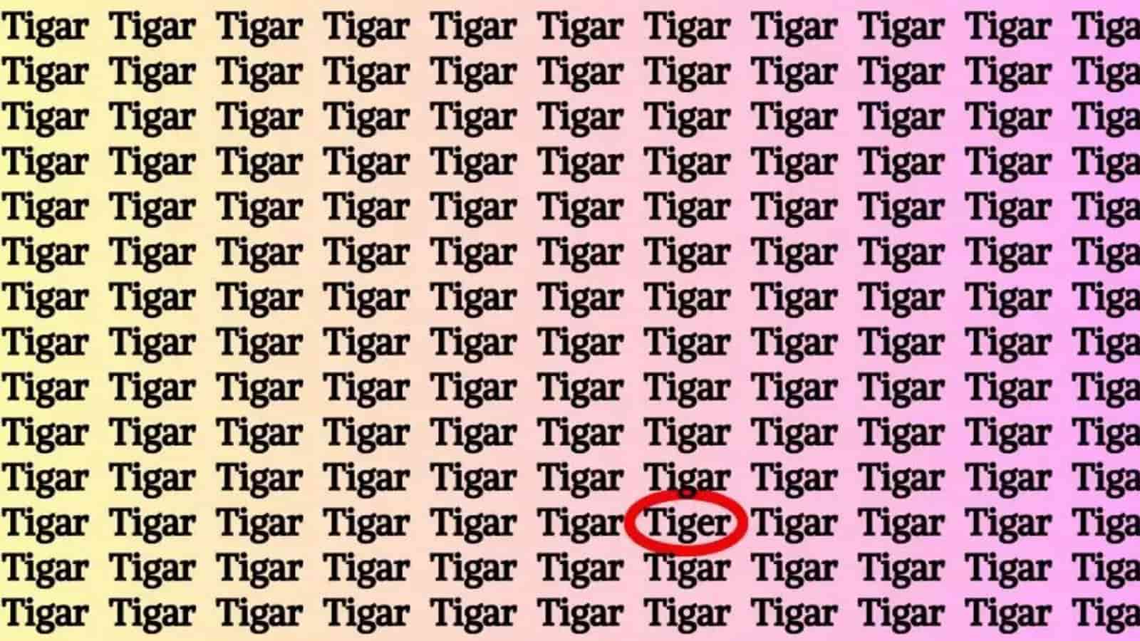 locate the Word 'Tiger'
