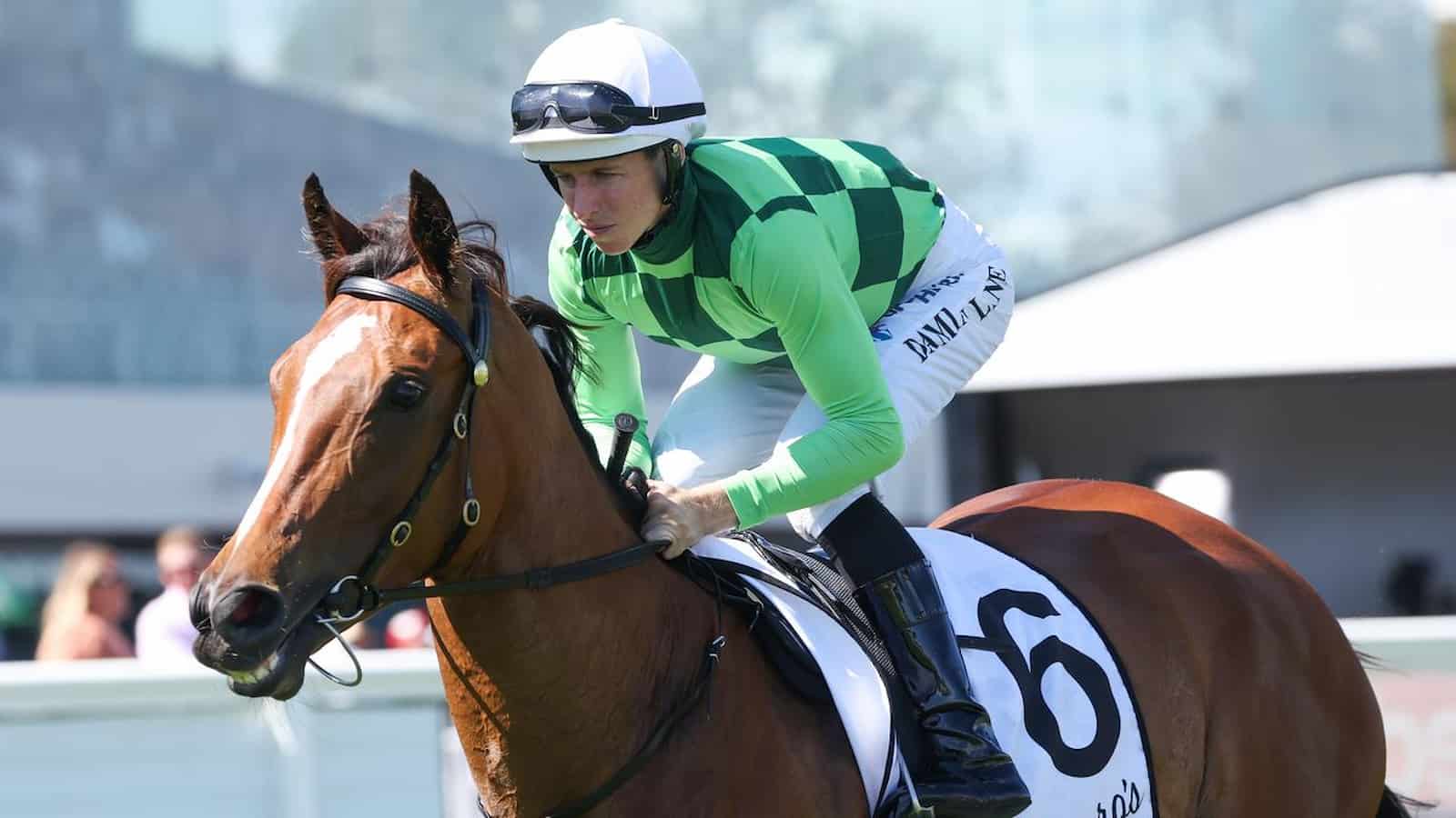 Geelong Cup Day