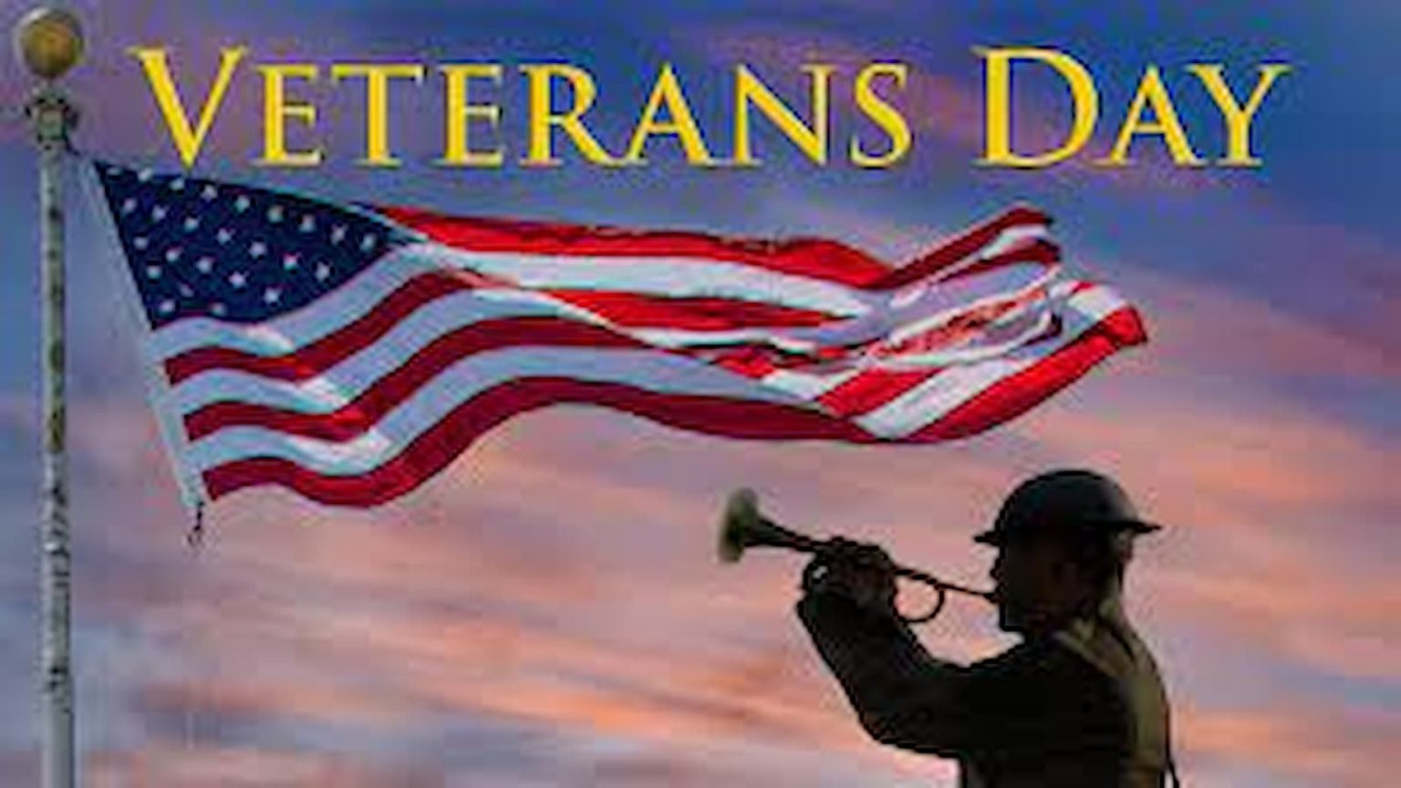 Veterans Day 2023 Date, History, Facts About Veterans In US
