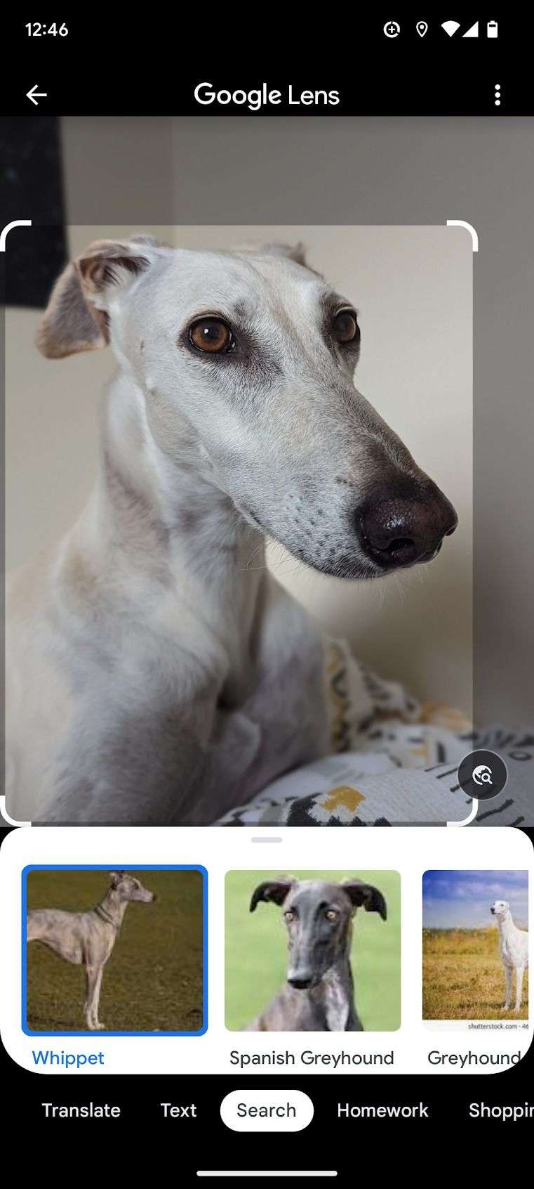 google-lens-screenshot