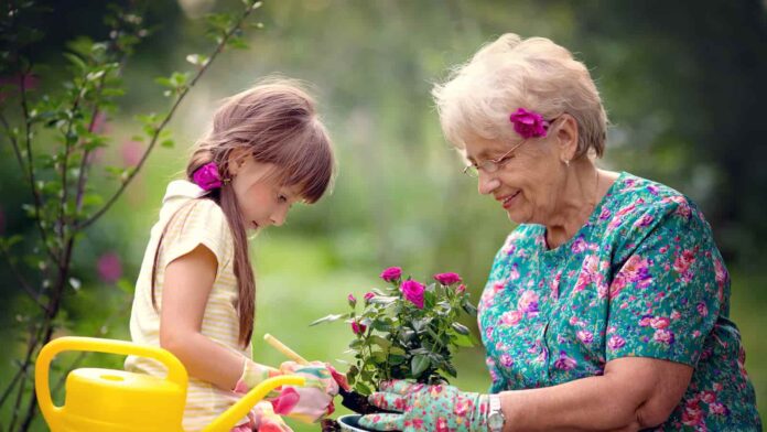 Grandmother Achievement Day, Grandmother Achievement Day date, Grandmother Achievement Day 2024, Grandmother Achievement