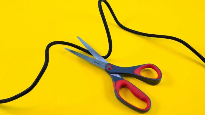 National Cut the Cord Day, National Cut the Cord Day Date, National Cut the Cord Day 2024, National Cut the Cord Day facts, Cut the Cord Day