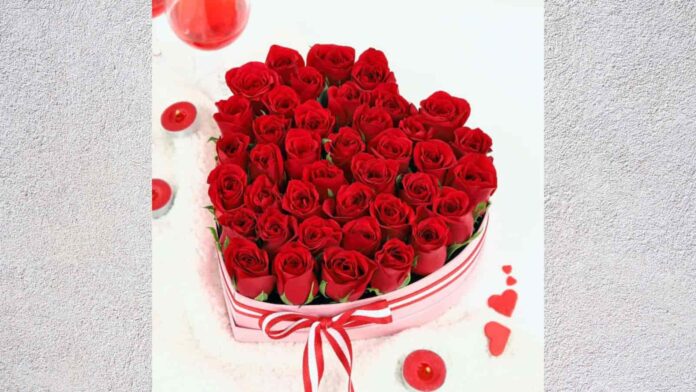 Happy Rose Day 2024