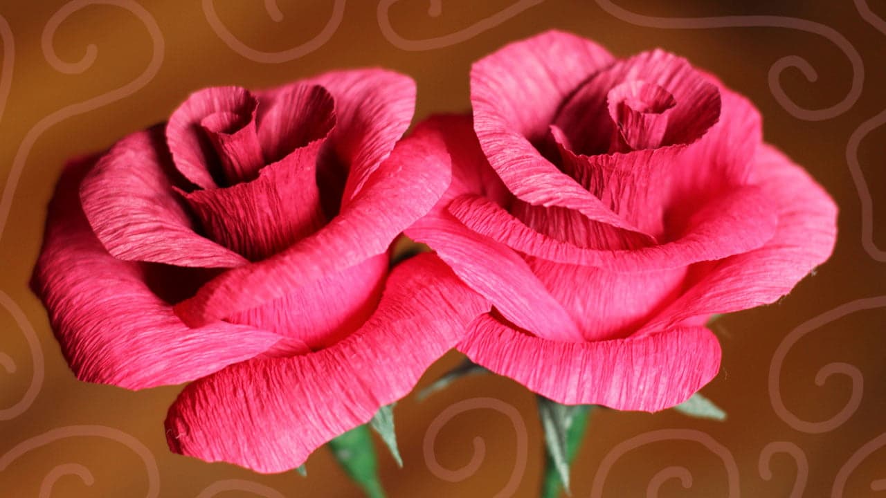 DIY Rose