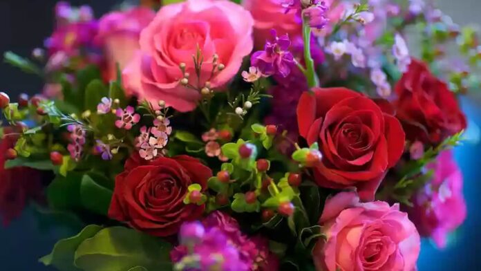 Gifts for Rose Day, rose day gift ideas, gifting other flowers on rose day, unique gift on rose day