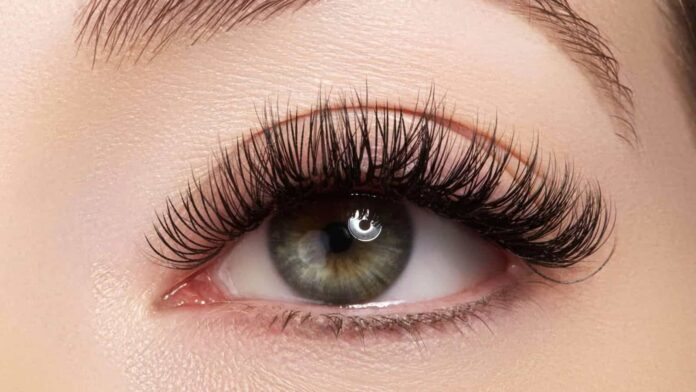 National Lash Day, National Lash Day date, National Lash Day 2024, National Lash Day facts, Lash Day