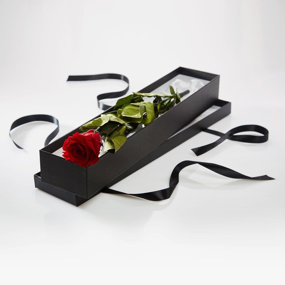 One Red Rose in a Gift Box