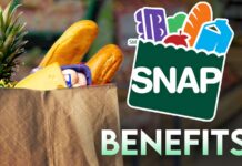 SNAP Use Across America: Check the List of States With the Highest Need SNAP Recertification Deadline 2024, SNAP Recertification Deadline, SNAP Benefits income eligibility, SNAP Benefits eligibility, Texas SNAP Benefits Payment May, SNAP Benefits Payment June, SNAP Texas Recertification July, Extra SNAP Benefits 2024, Florida SNAP Recertification August, SNAP Recertification Deadline October, D-SNAP Expansion, SNAP benefits in June 2025