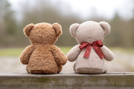Teddy Bears' Purpose