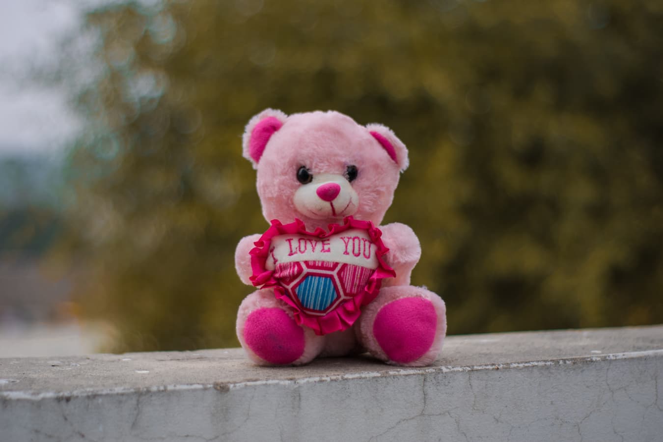 Teddy bear in pink