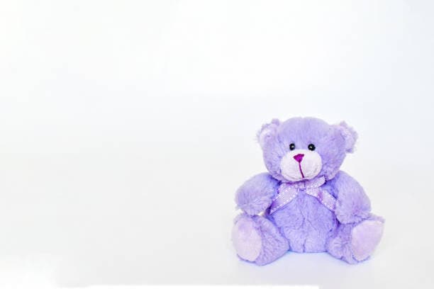 Teddy bear in purple