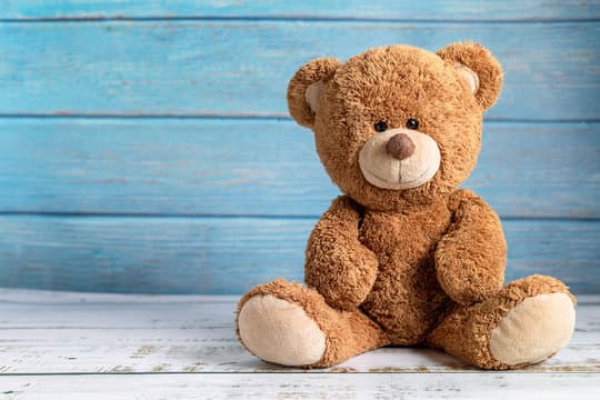 Teddy Bear Historical Origins