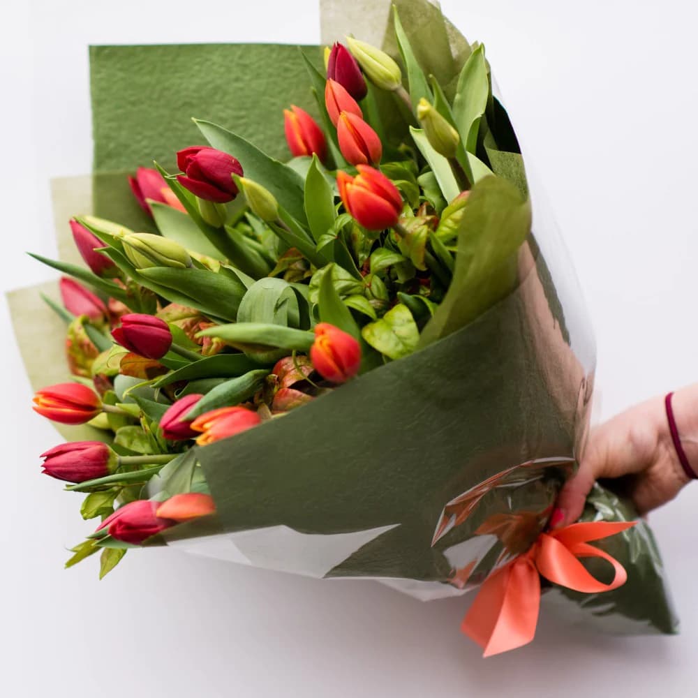Tulips