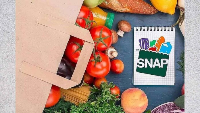 Texas SNAP Benefits