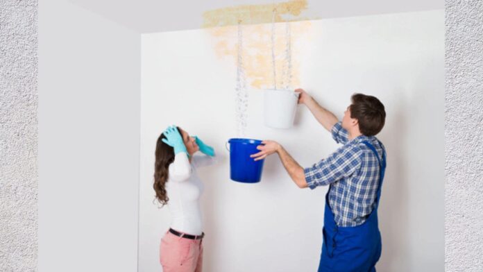 Water Seepage in Walls