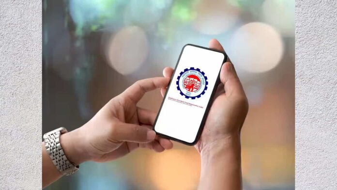 2024 EPF Interest Rates