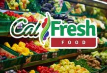 CalFresh Recertification November 2025: What Is The Deadline To Avoid Losing Your Food Stamps? CalFresh Recertification Deadline, CalFresh Payment May, CalFresh Payment May schedule, CalFresh Payment Schedule August, CalFresh September Schedule, CalFresh Recertification September, CalFresh Payment Schedule, CalFresh Payment October, CalFresh COLA Increase 2025, CalFresh Recertification May 2025