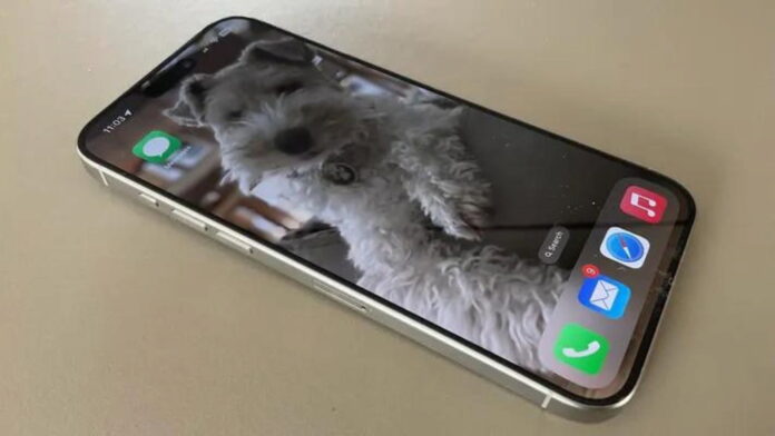 iOS 17.3 Update