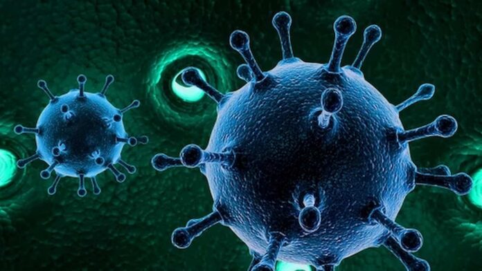 norovirus threat during flu season, norovirus, what is norovirus