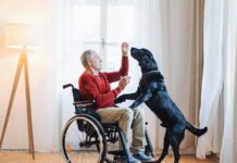 VA Clothing Allowance: Do You Need to Apply Every Year to Get an Annual Payment? VA Disability Claim Status, VA Disability Claim, Chapter 1606 VA Benefits, Chapter 31 VA Benefits, Burn Pit Registry, Easiest VA Disability Claims, VA Benefits 10-Year Rule, VA Surviving Spouse Benefits, VA Disability Claim Status, VA DEA Benefits Application, Chapter 33 VA Benefits Payment, VA 80 Disability Pay, Stimulus Disability Payment, VA Education Benefits, myPay Account, 80 VA Disability Rate Increase, 60 VA disability Pay Increase, VA Form for Dependent Educational Benefits, VA Disability for Presumptive Illnesses, VA Disability and Social Security Disability, VA's sign-in changes for 2025, VA Priority Group 8, VA Disability August Payment Schedule, VA Disability Payment Schedule