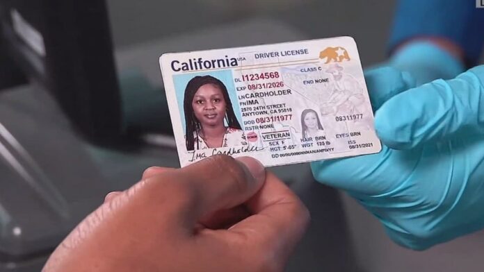 California Immigrant Licenses