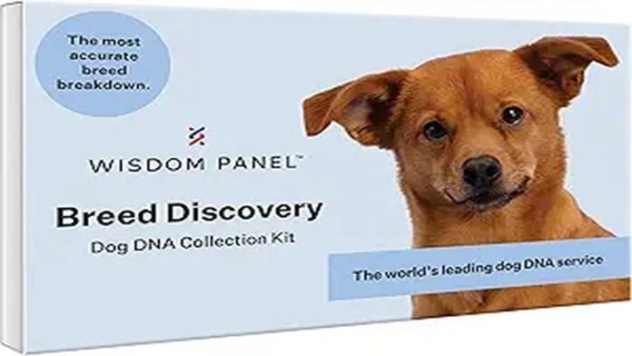 How to Activate Wisdom Panel DNA Kit at WisdomPanel.com/Activate (Step-by-Step Guide) How to Activate Wisdom Panel DNA Kit at WisdomPanel.com/Activate (Step-by-Step Guide)