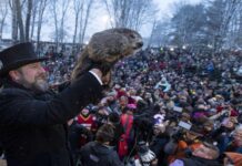 How Reliable is Punxsutawney Phil After Nearly 140 Years of Weather Predictions? Punxsutawney Phil Predictions