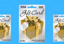 How to Use balance.vanillagift.com for Vanilla Gift Cards? Vanilla Gift Card balance check