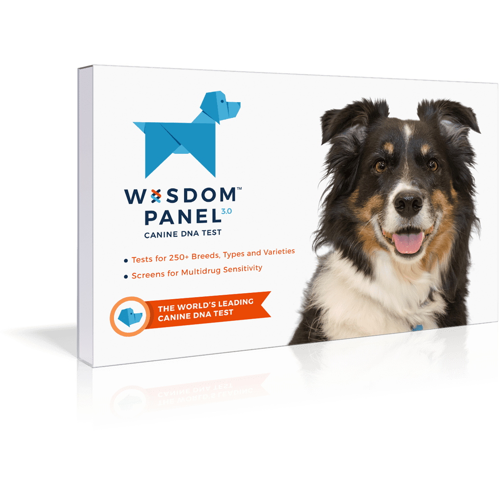 Activate Wisdom Panel DNA Kit