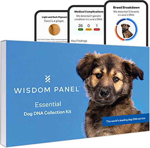 Activate Wisdom Panel DNA Kit