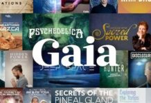 How to Activate Gaia on Roku, Apple TV, FireStick and Android TV Easily Gaia Activation